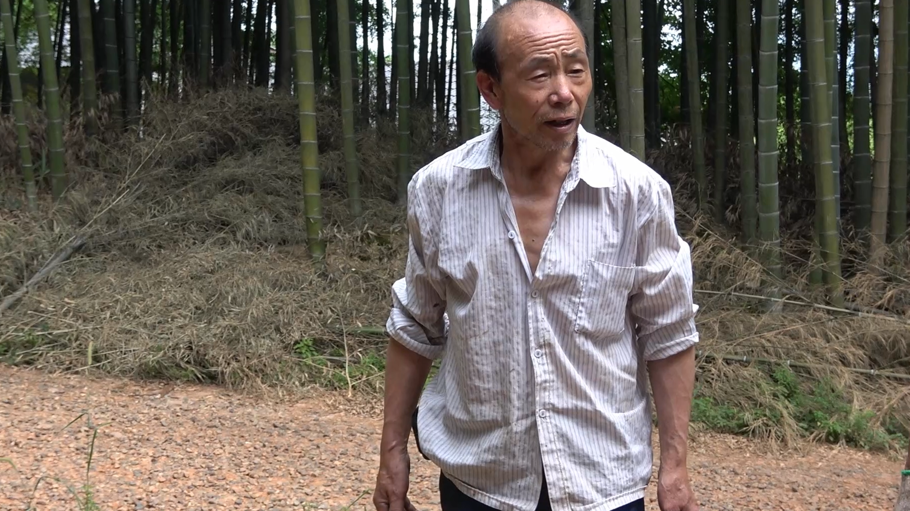 农村四哥:干爹听说王四要烤干笋,直接送王四2车干柴,够义气