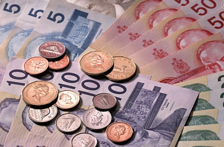 第一周期武曲星将入宿生肖牛的财帛宫,这能为牛牛