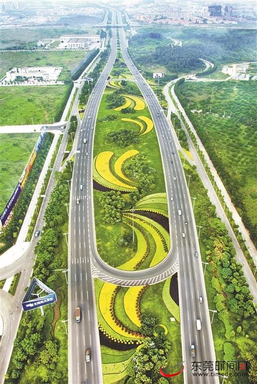 东莞大道,这条人们出没最繁忙的城市主干道,当年却是这样的