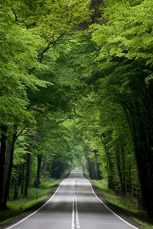 每个人都有自己的路要走,不管是笔直的坦途,还是阡陌的小道