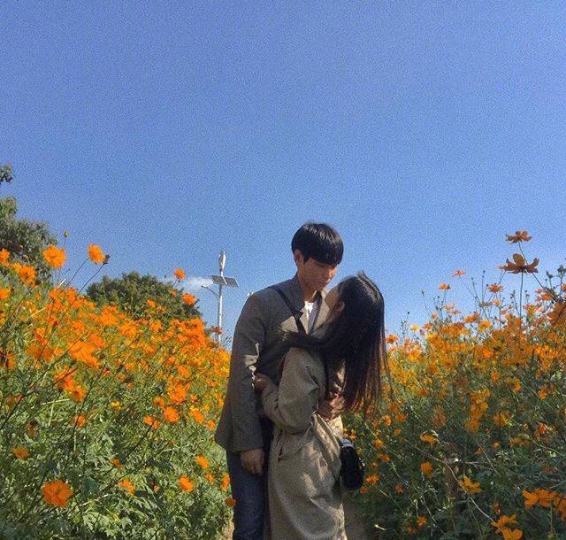 所谓好的爱情:初见时的心动,初识时的甜蜜,相知时的欣赏