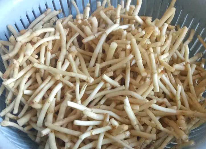 天然养颜菜,又是白菜价,抵得上10根黄瓜,胜过大鱼大肉|折耳根|大鱼大