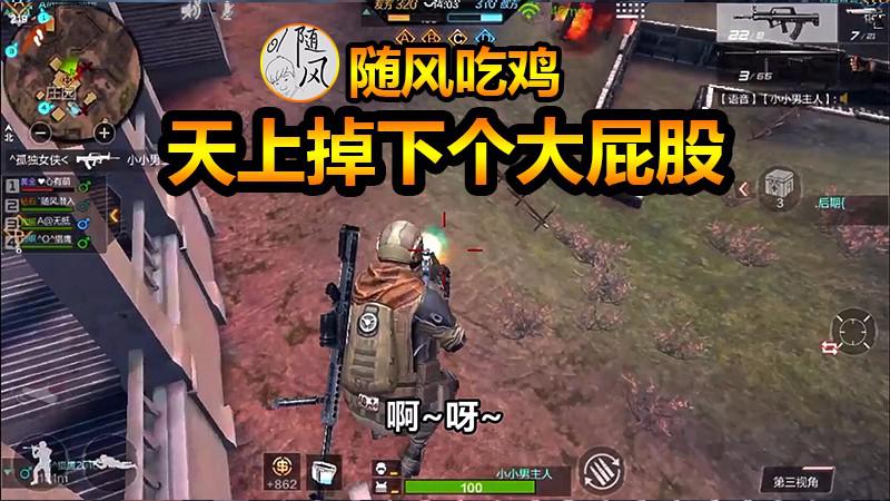 随风吃鸡:别人天上掉下个林妹妹,我这怎么就是个屁股呢?