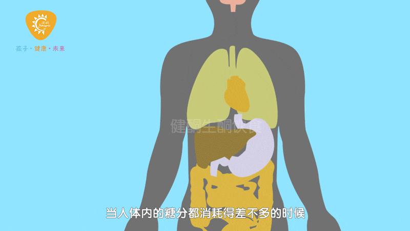 我怎么才知道|脂肪酸|酮体|碳水化合物_新浪新闻
