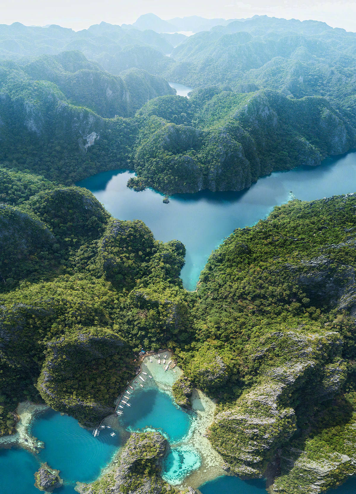 摄影师dimitar karanikolov