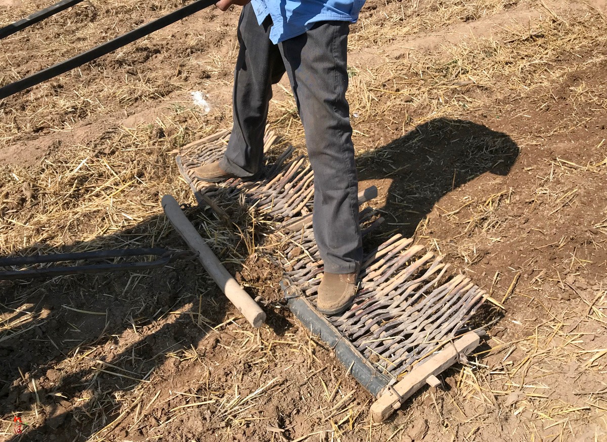 手扶拖拉机与千年农具结合变身农耕新神器，花钱不多又好用|农具|手扶拖拉机|师傅_新浪新闻