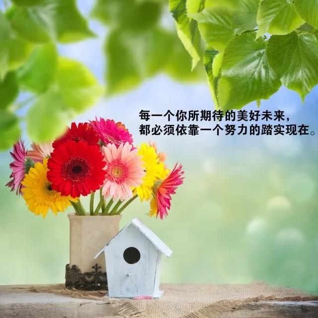 精选正能量的励志语录 适合转发朋友圈的成功励志语录