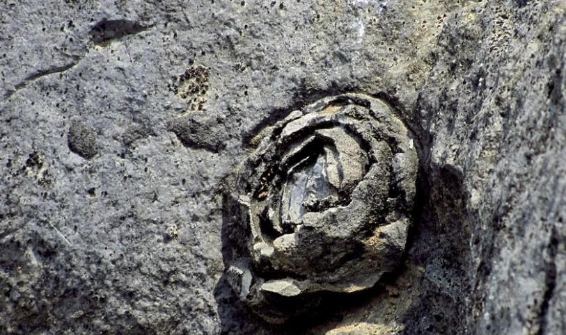 广西藏着一处天然奇观——石头开花,就连专家也说:世间难见!