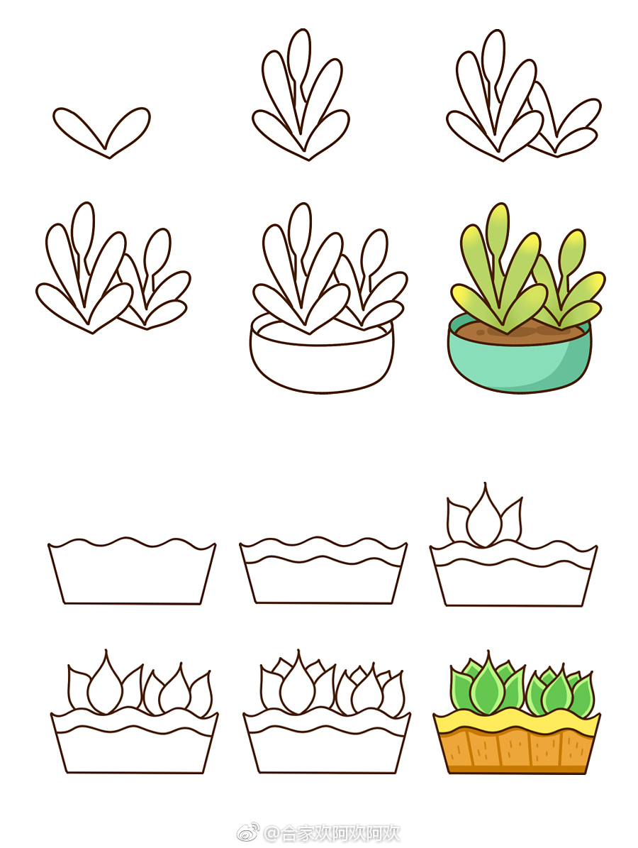 73077073多肉植物简笔画过程