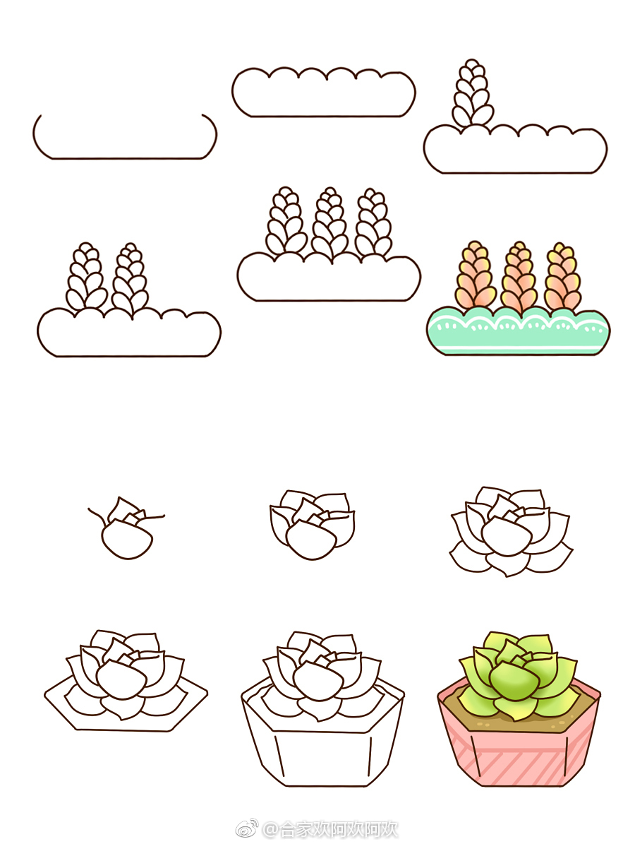 73077073多肉植物简笔画过程
