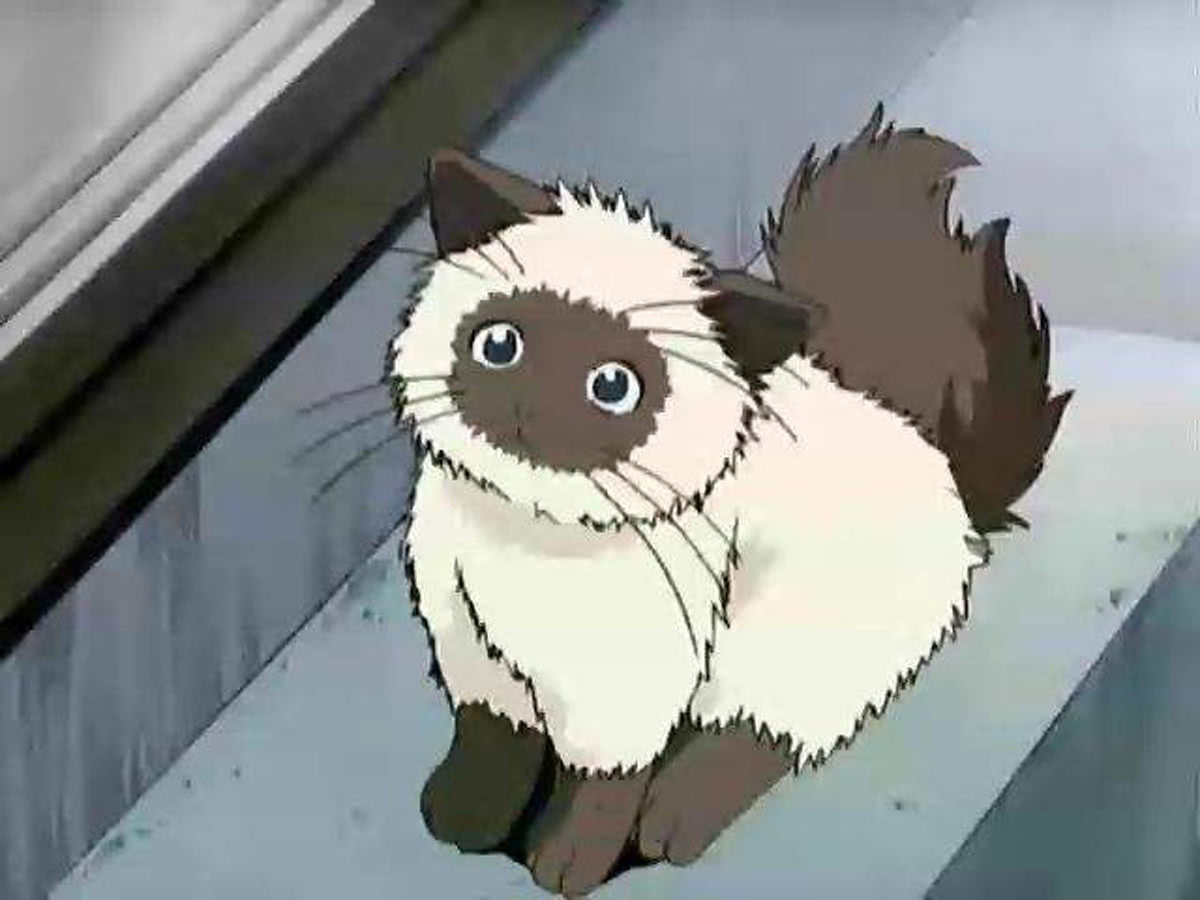 滚滚惹人爱!盘点动漫中那些欲罢不能的超级萌神!