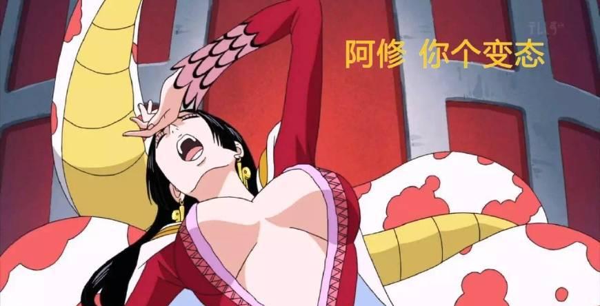 海贼王分析: 女帝究竟有没有穿胖次?