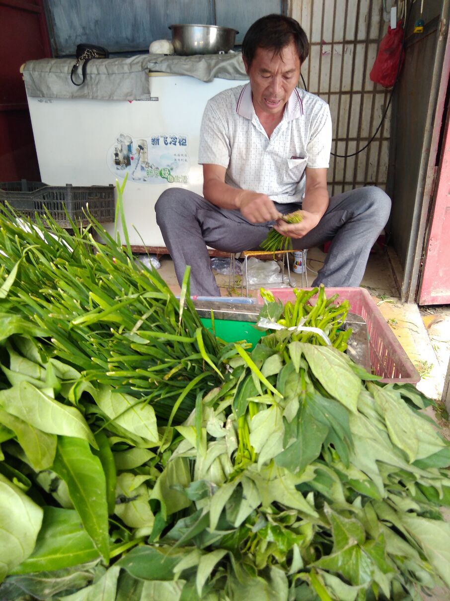 河南一保安街头开启无人售卖菜摊 比马云无人超市还早一年