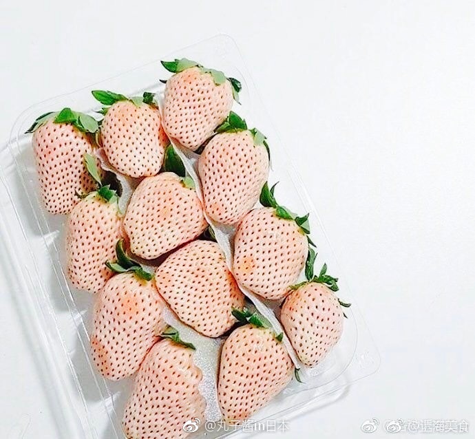 淡雪白草莓这是日本奈良县果农经过长达20多年的研发成果