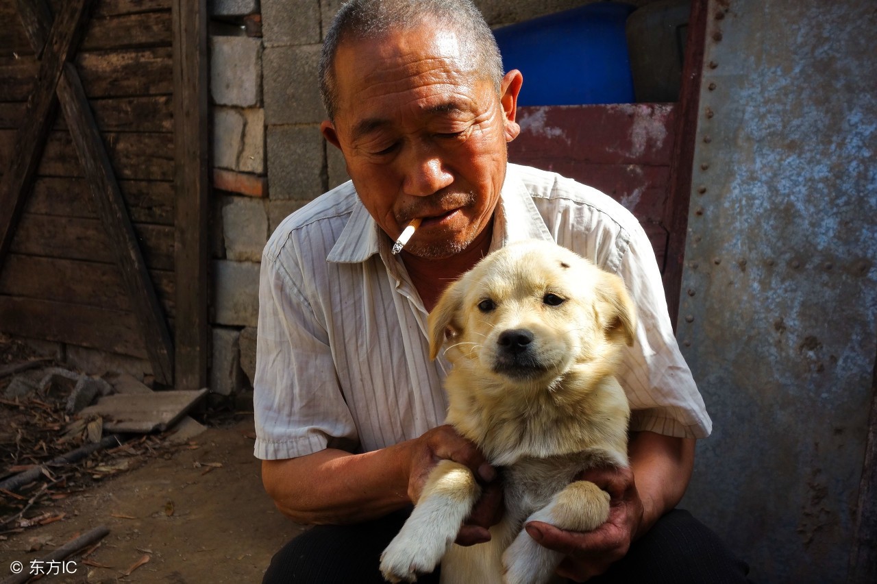 图为大爷抱着可爱的狗狗,这狗狗是他在外面捡回来的,现在狗狗很听他的