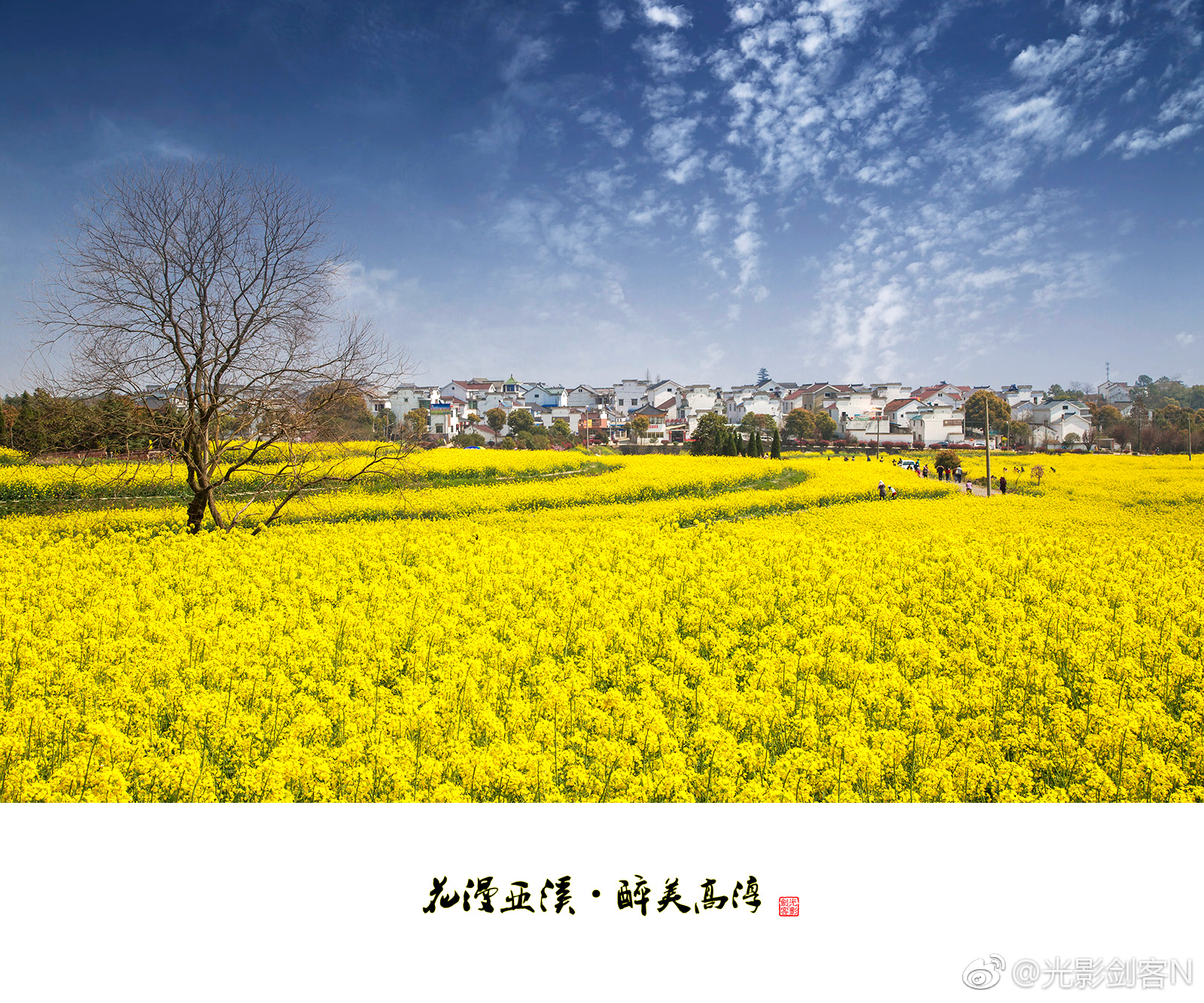遇见高淳慢城花海，邂逅最美田园风光。|高淳|气象|花海|江苏|南京_新浪新闻