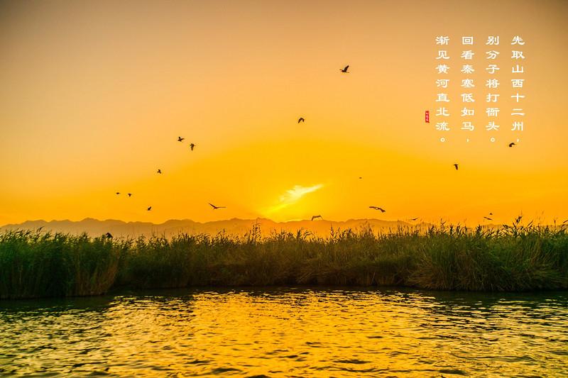 旷古的风沙在宁夏留下爱恋