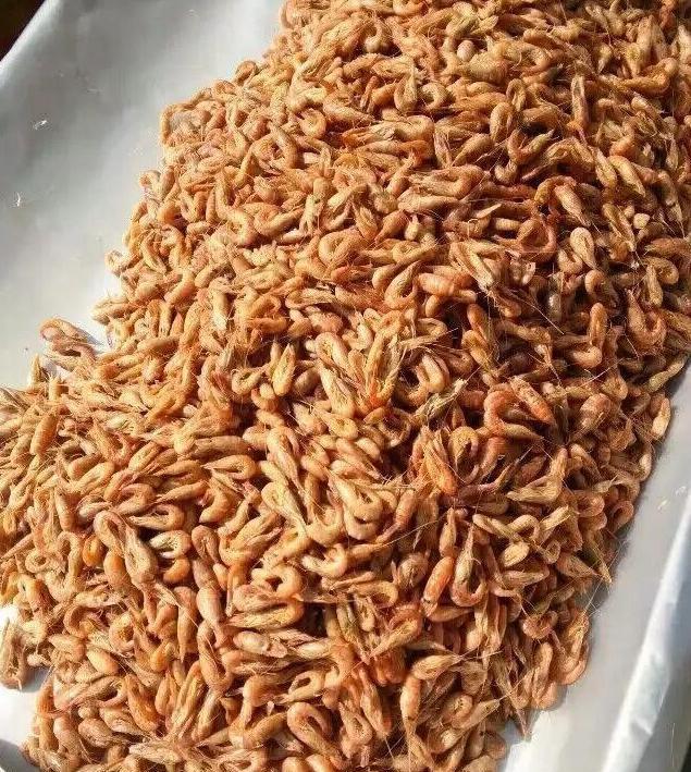 莱州桃花虾终于上市了,180一斤!|莱州|桃花虾|虾_新浪新闻