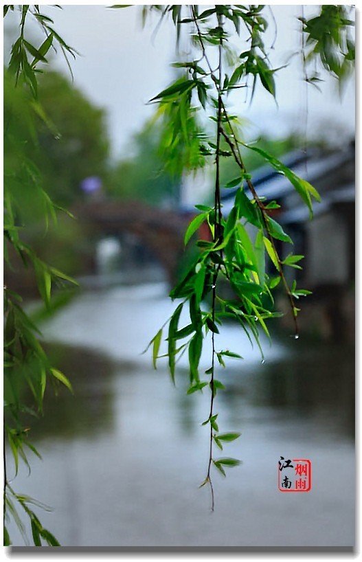 烟雨江南之五精选片|烟雨江南_新浪新闻