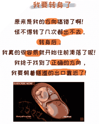 如果妈妈在分娩,胎儿在干什么?太有爱了,爸妈看一次笑一次