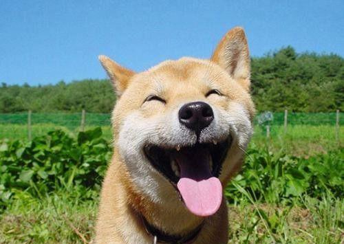 又有人夸我发型帅了,真高兴!