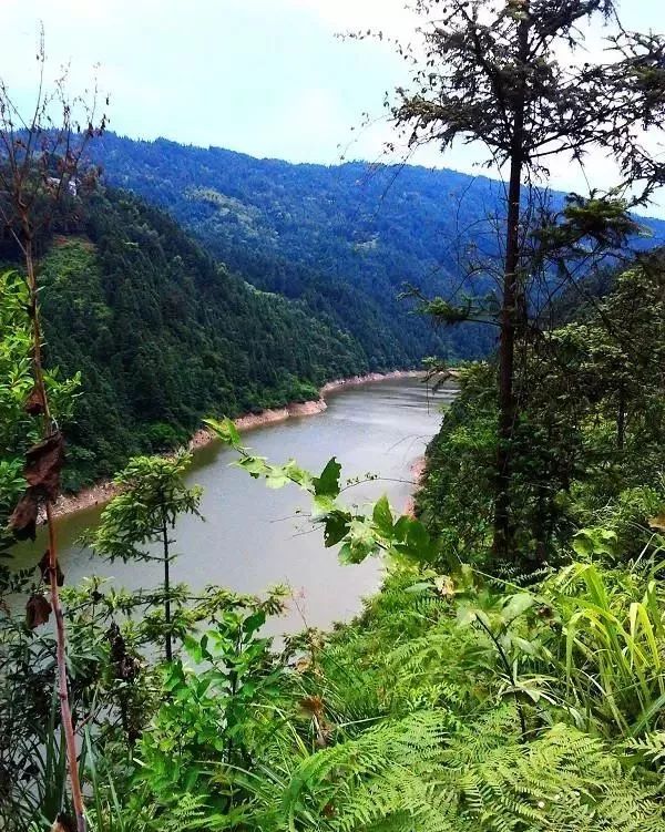 贵州天柱县八卦河下游莲花山水库北岸的神奇柳寨 贵州天柱县八卦河下游莲花山水库北岸的神奇柳寨