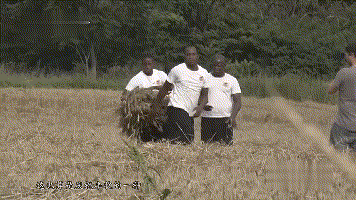 356_200gif 动态图 动图