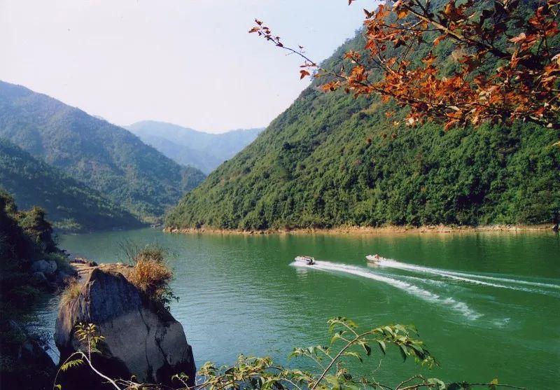 黄梅新县河一河两岸图片