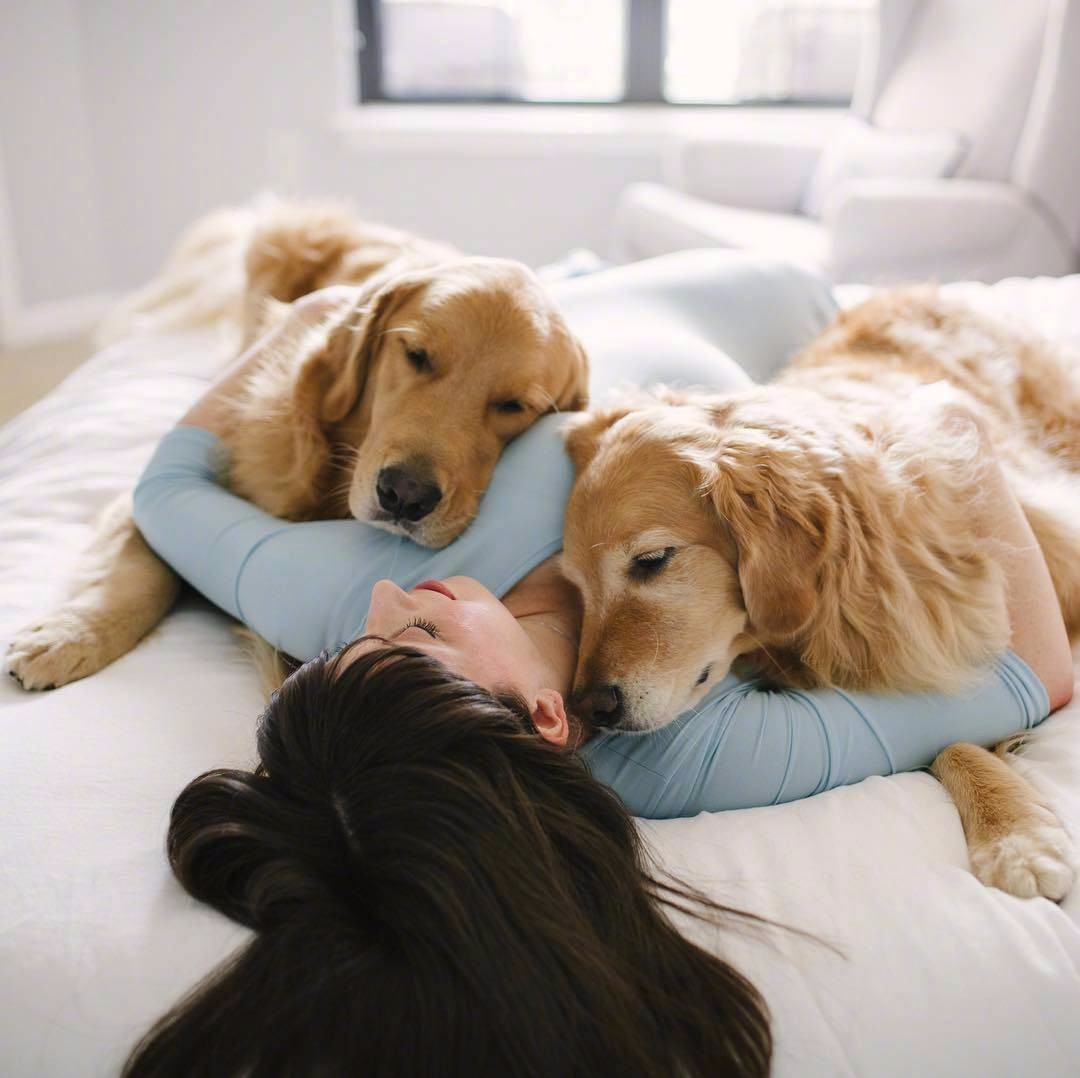 男主人一直记录着妻子怀孕后肚子变大和狗狗们的日常,画面好温馨