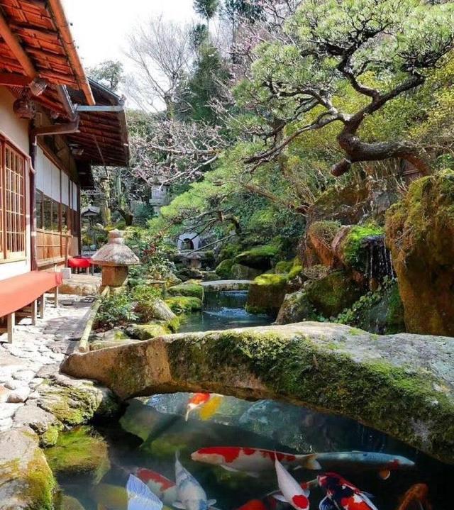 10个花园锦鲤鱼池设计优美闲适的环境让人忍不住驻足欣赏
