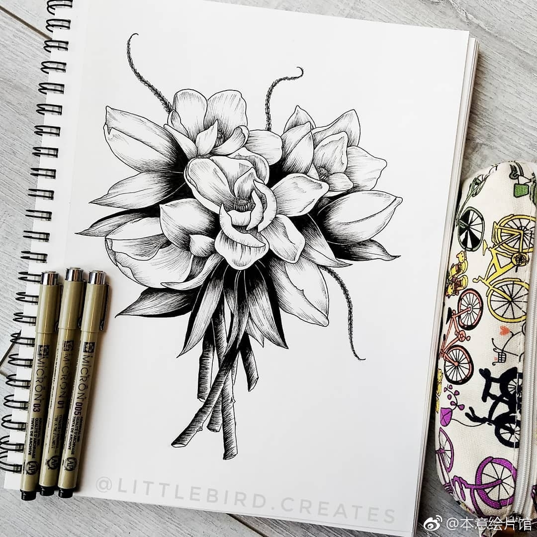 针管笔下的黑白花卉世界~ | ins : littlebird.creates
