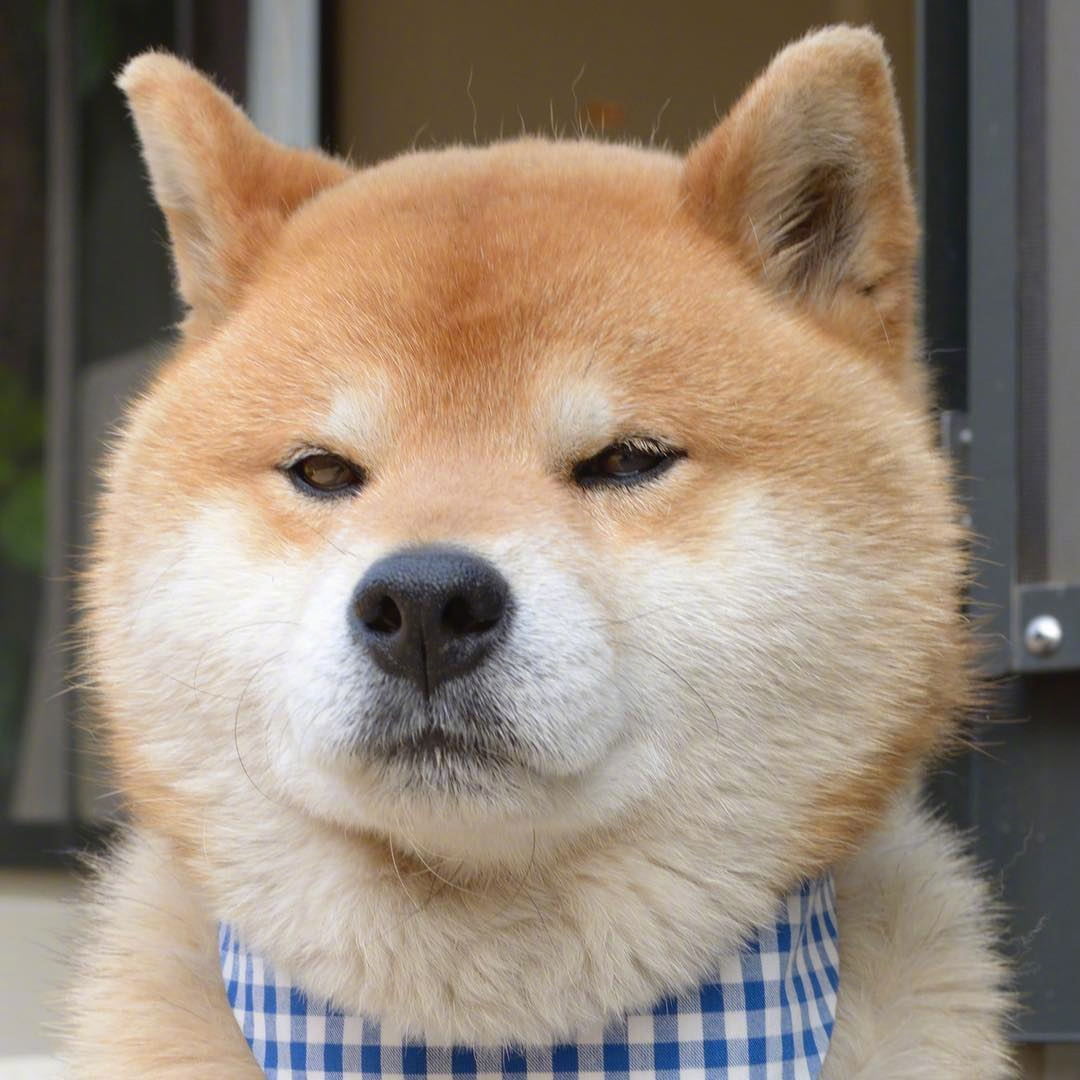 想到今天是礼拜五就会开心的笑出声来