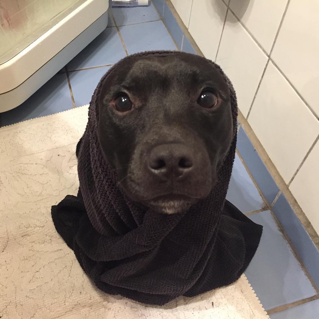 我是小海豹呀07ω