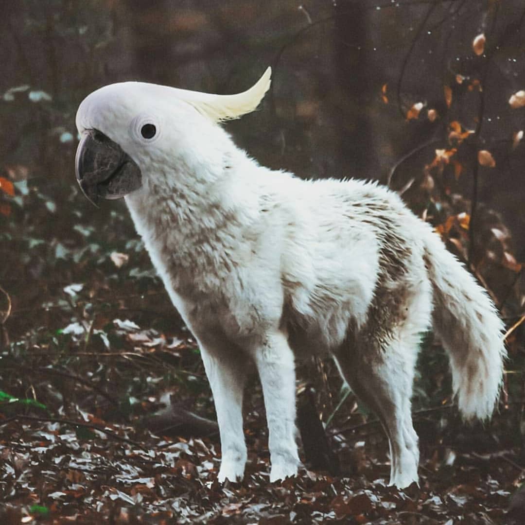 八点档什么意思 台湾八点档收视率有多高