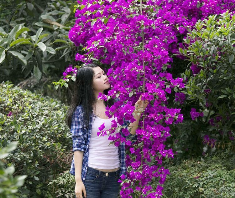 花开三角梅下一个爱花的美丽女子!|梅花树|美女|人像摄影_新浪新闻