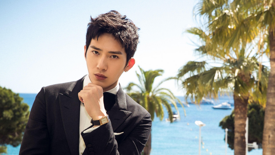 拥有最帅瓜子脸的6位男星,鹿晗,黄景瑜上榜,许魏洲竟输给了他