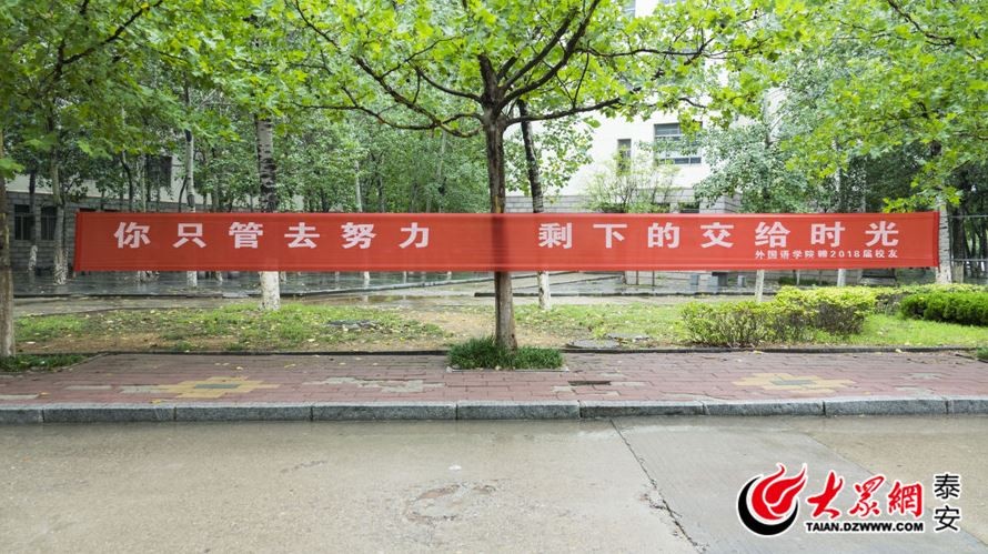 你只管去努力,剩下的交给时光.