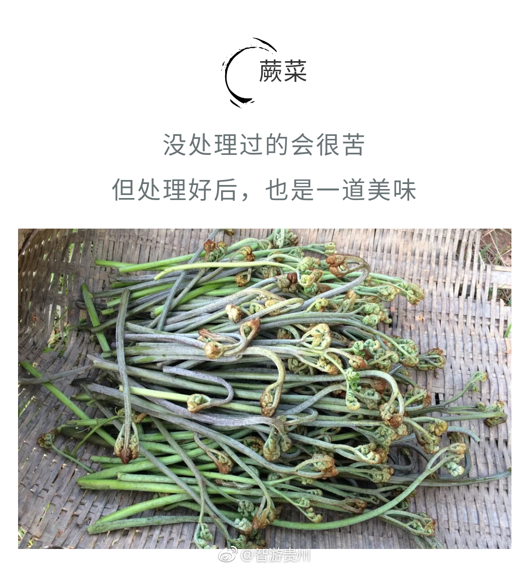 贵州山咔咔里才有的野菜 你吃过几样