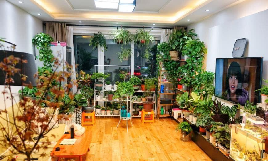 娶了养花"高手",1年打造出"花房客厅",有100种花卉!