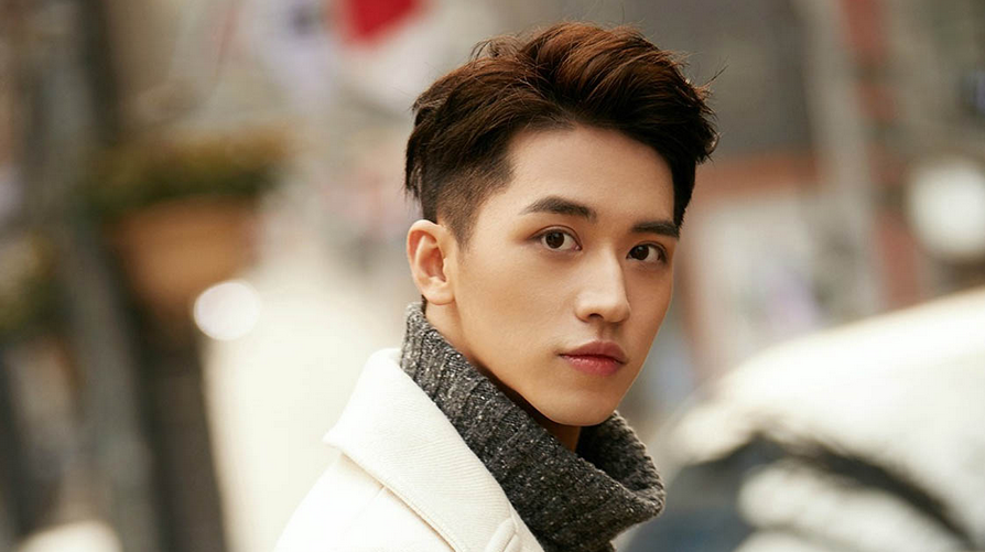 拥有最帅瓜子脸的6位男星,鹿晗,黄景瑜上榜,许魏洲竟输给了他