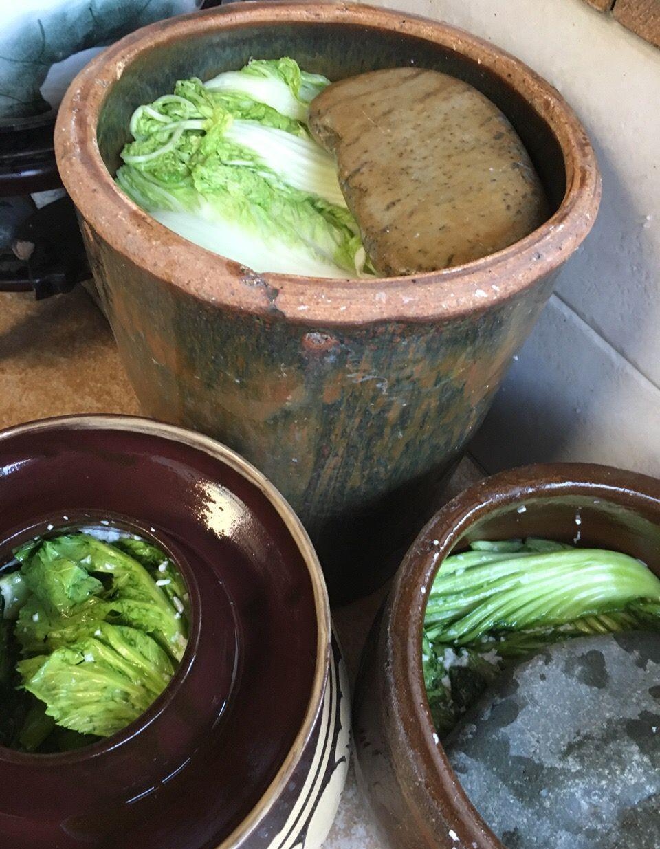 腌南方酸芥菜,这年头几乎看不到正宗的东北大缸腌酸菜了