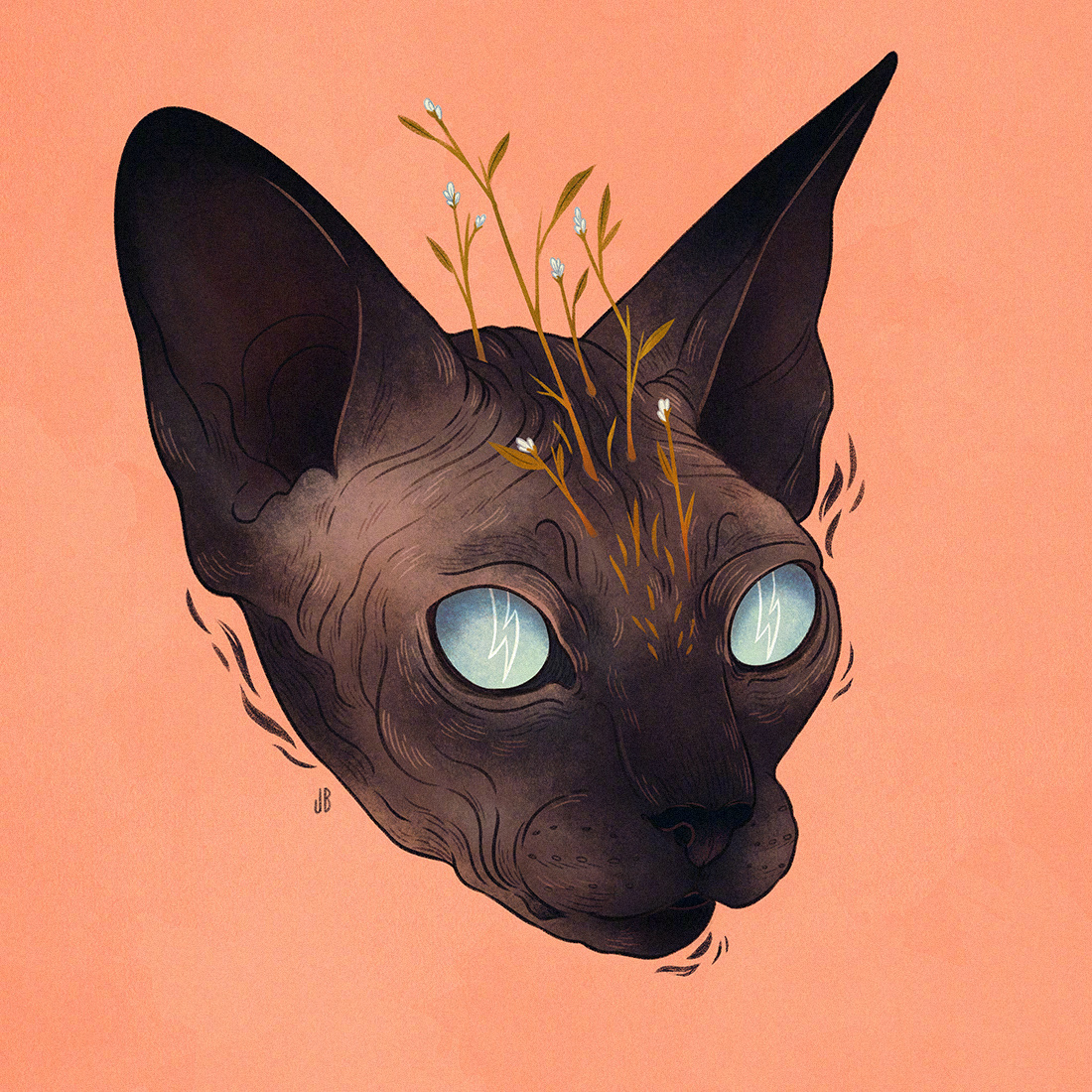 水彩和数字结合的动物系绘画,插画师 jenna barton