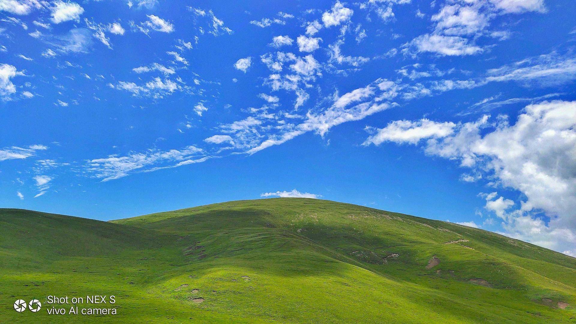 vivonex拍照太赞了网友大呼一流拍照旗舰手机果然厉害