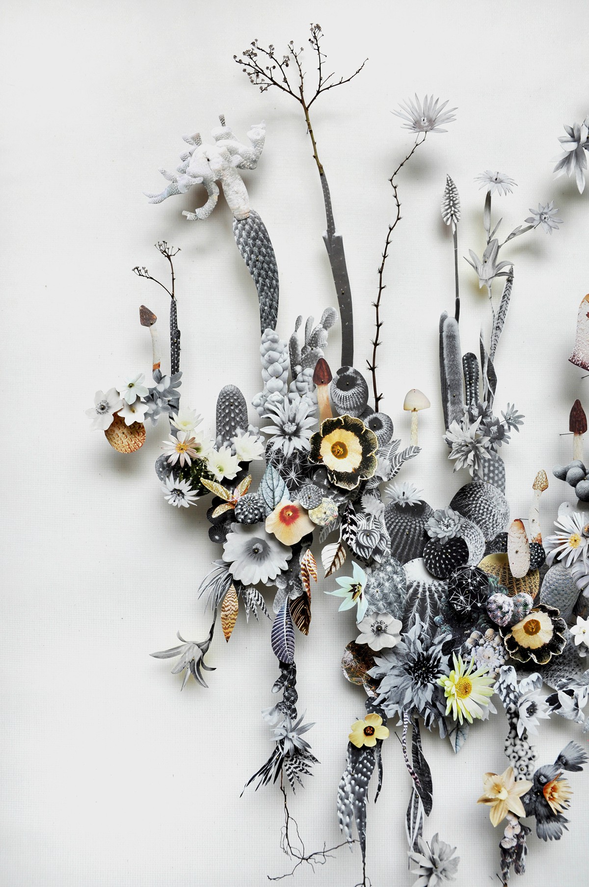 花草拼贴与残蝶修复作品 | 荷兰艺术家 anne ten donkelaar