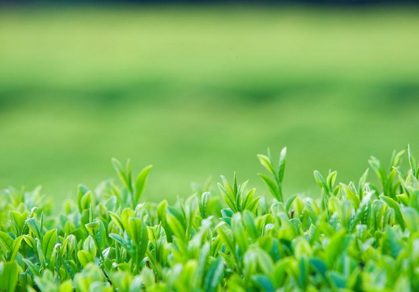 9月16号迎来财运中的一个新篇章,连连发财,钱财无数的3生肖