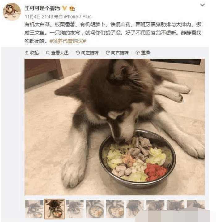 看到王思聪的宠物狗的狗粮和水,网友表示我想当只狗