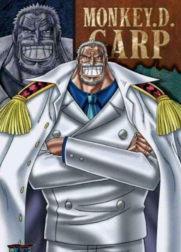 海贼王谈一谈海军英雄卡普实力