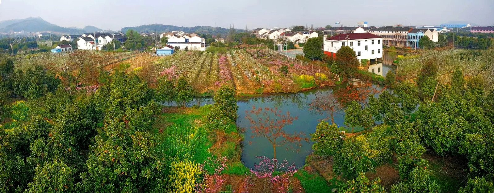 北京儿女户口迁移 集体户口和本地户口区别