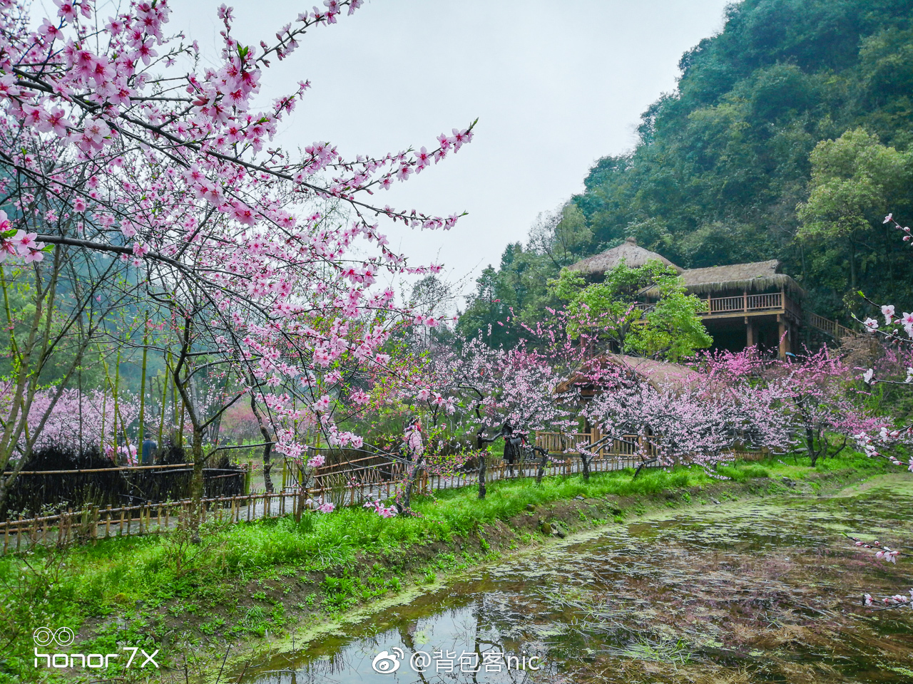 世界上有两个桃花源,一个在你心中,一个在重庆酉阳_新浪看点