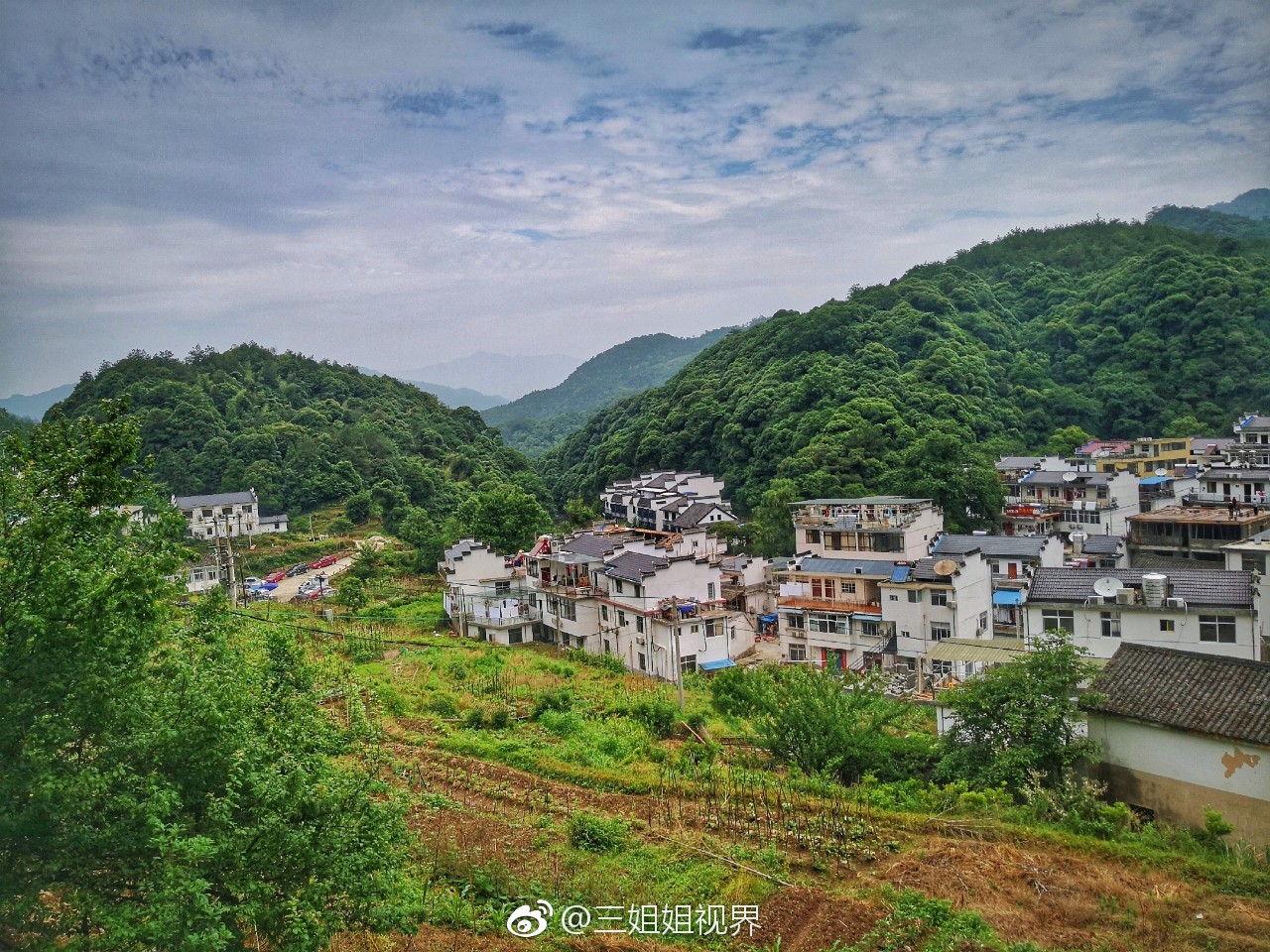 石台有一个大山村村民们世代厮守着大山以种茶为生